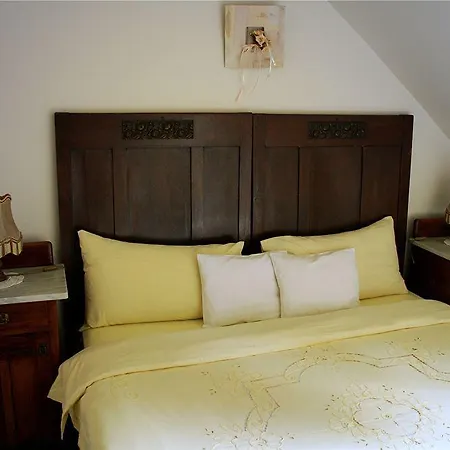 Nomad & Glamping Noszvaj