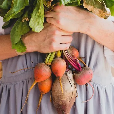 Ξενοδοχείο Nomad & Glamping 3*