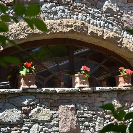 Hotel Nomad & Glamping