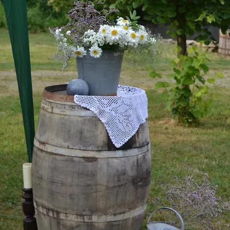 Nomad & Glamping Ξενοδοχείο Noszvaj