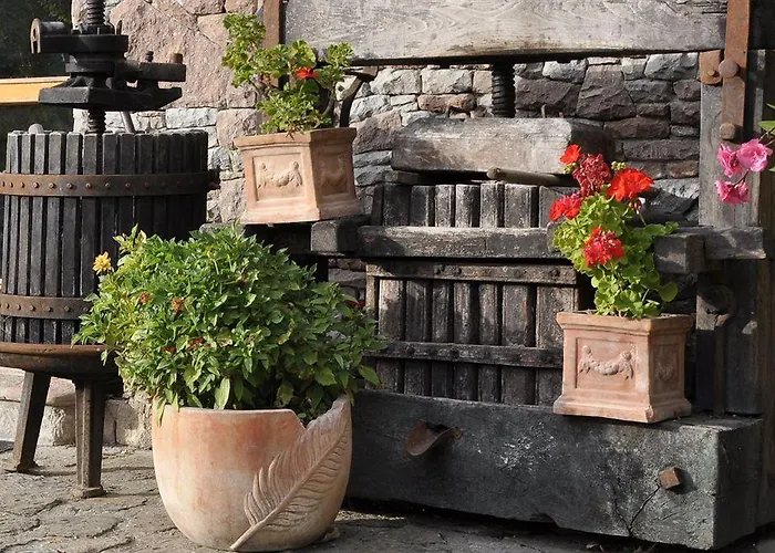 Nomad & Glamping Hotel