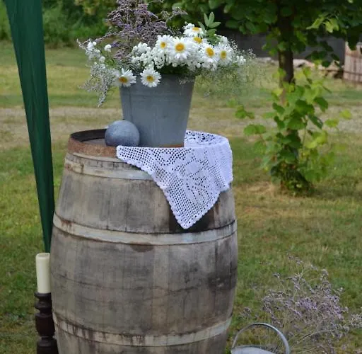 Nomad & Glamping Hotel Noszvaj